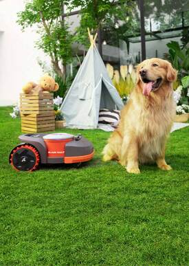 Segway Navimow Mähroboter sorgt für einen gepflegten Rasen, während ein Hund im Garten entspannt – sicher und effizient für haustierfreundliche Rasenpflege.