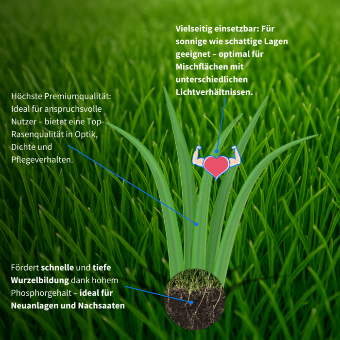 Rasendetail auf dichtem Grün mit Erklärgrafik zu Premium-Rasensaat: ideale Wurzelbildung, höchste Qualität und vielseitige Eignung für sonnige und schattige Flächen.