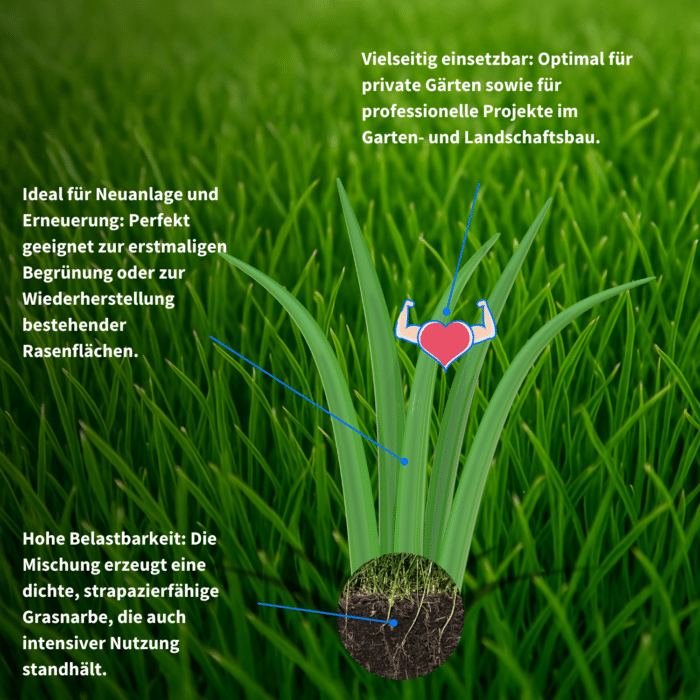Robuste Rasensaat für Neuanlage und Regeneration – dichte Grasnarbe für intensive Nutzung im Garten- und Landschaftsbau